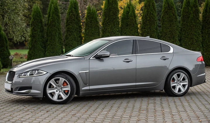 Jaguar XF cena 56900 przebieg: 177123, rok produkcji 2013 z Żmigród małe 436